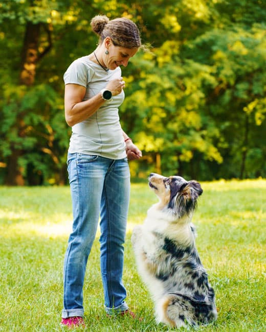 A woman, sharing treats with a well-behaved dog that has been trained well by Sit Happens, Tampa.