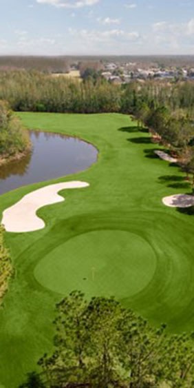 A beautiful golf course, ideal for dog training in Cheval, FL.