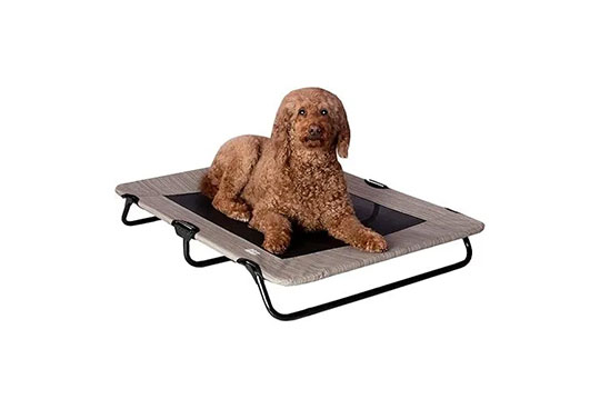 A dog training travel bed for the services we provide in Tampa, FL