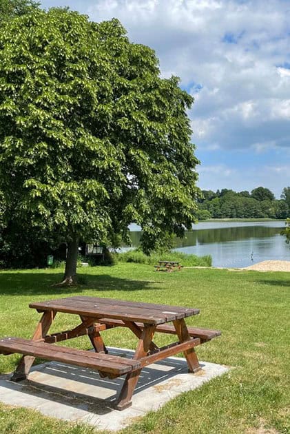 A scenic waterfront picnic area, ideal for dog training in Brandon, FL.