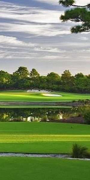 A scenic golf course, ideal for dog training in Lutz, FL.