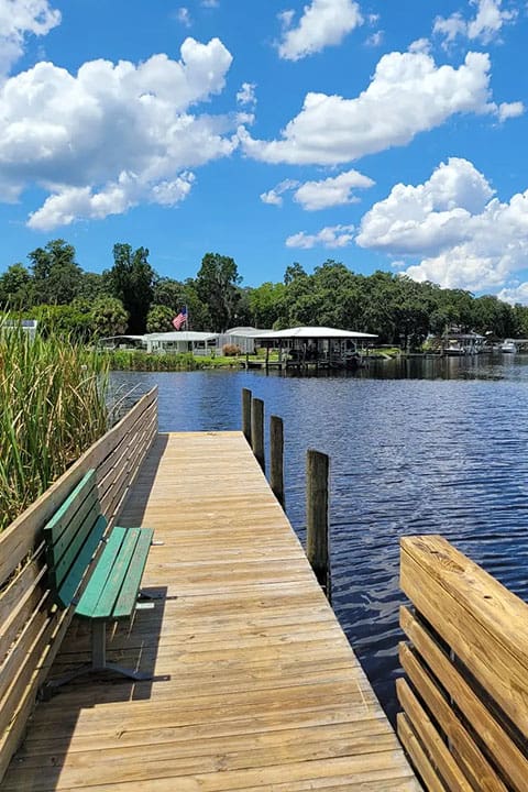 A scenic dock, ideal for dog training in Riverview, FL.