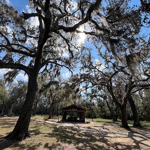 A cozy wooded pavilion, ideal for dog training in Seffner, FL.