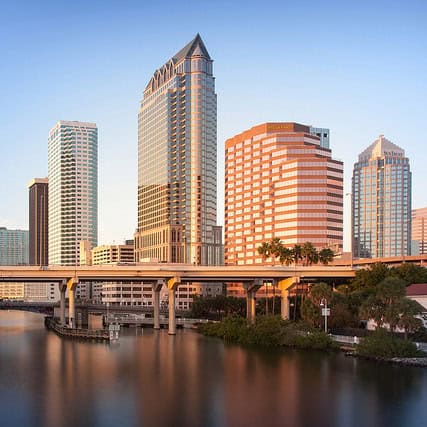 Downtown Tampa, ideal for dog training.