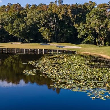 A scenic golf course, ideal for dog training in Tampa Palms, FL.
